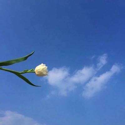 风暴战争测试版下载